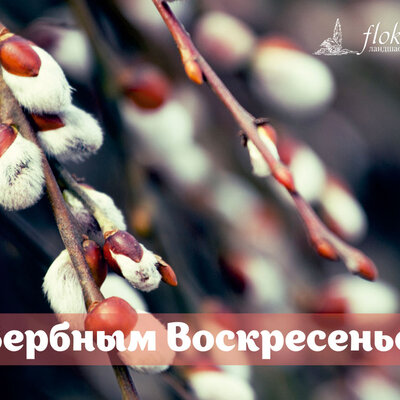 Поздравляем с Вербным Воскресеньем! 2015