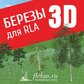 База берез для ландшафтной программы Realtime landscaping architect
