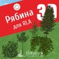 База растений «Рябина 3D» для Realtime Landscaping Architect