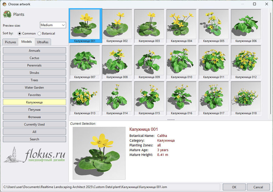 3D-модели растений Калужница (caltha 3d model) для Realtime landscaping architect. Дополнительные базы - 3d model plant library Flokus.ru 