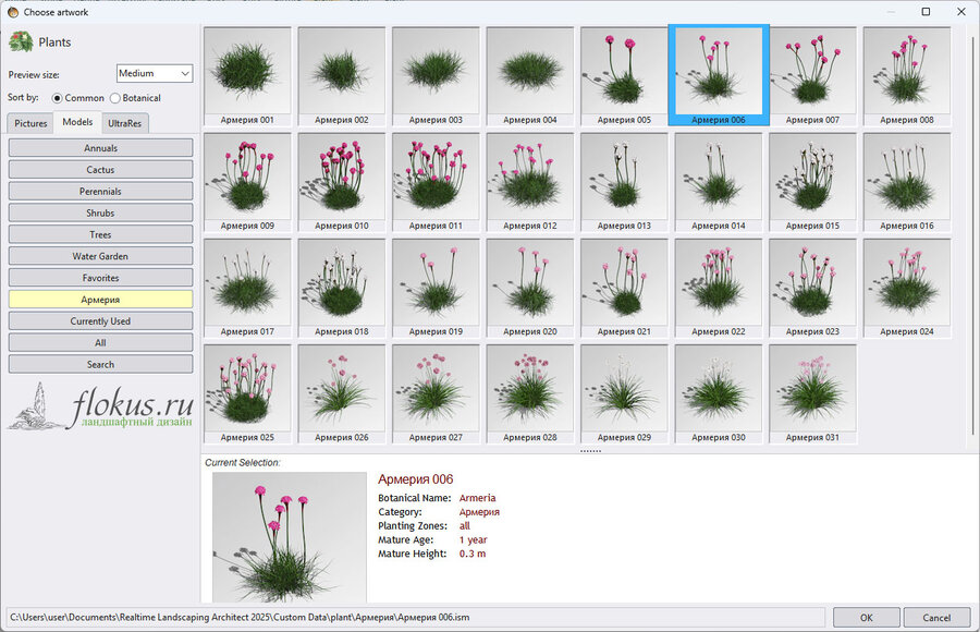 3D-модели растений Армерия (armeria 3d model) для Realtime landscaping architect. Дополнительные базы - 3d model plant library Flokus.ru 