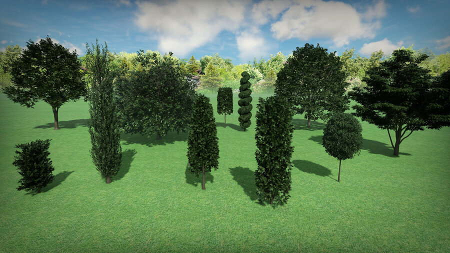 Примеры 3d моделей из дополнительной базы растений «Граб» для Realtime landscaping architect. Carpinus 3d plant model - flokus base