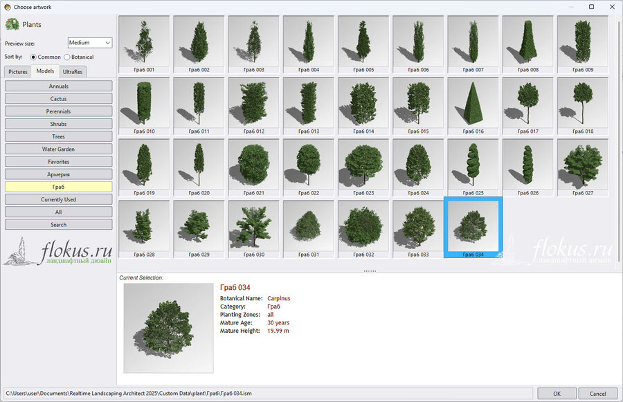 3D-модели деревьев Граб (Carpinus tree 3d model) для Realtime landscaping architect. Дополнительные базы растений - Flokus.ru 3d model plant library 