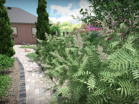 3д модели рябинника в ландшафтном дизайне Realtime landscaping architect. 3D Растения flokus.ru