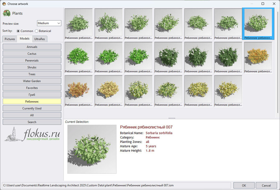 База 3d моделей растений «Рябинник 3D» (Sorbaria3d model) для Realtime Landscaping Architect. Базы flokus.ru