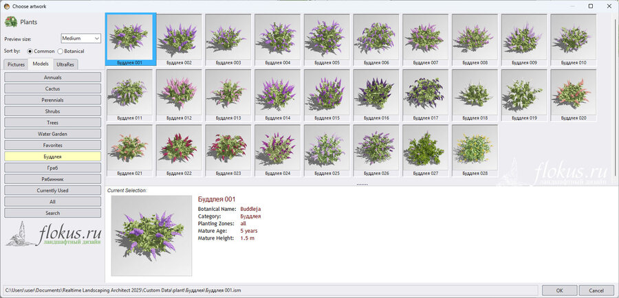 База 3D-моделей Буддлеи (Buddleja) для Realtime Landscaping Architect. 28 готовых моделей растений. Флокус.ру - Илья Филичев