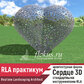 Создание 3D модели сердца инструментами Realtime landscaping architect
