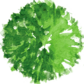 Как добавить свой символ растения в Realtime Landscaping Architect